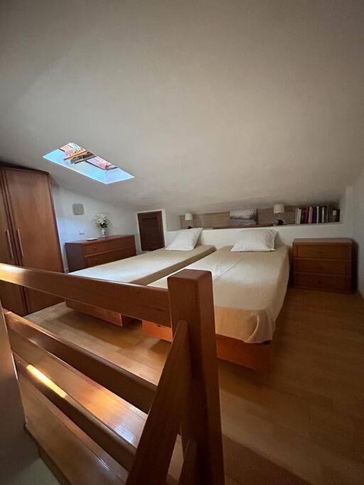 Cosy Acoteias *
